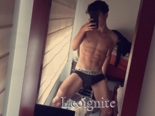 Leoignite