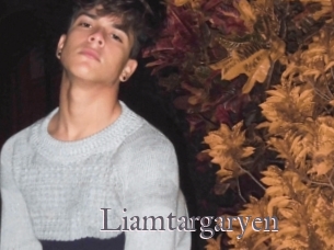 Liamtargaryen