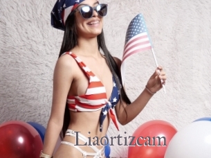 Liaortizcam