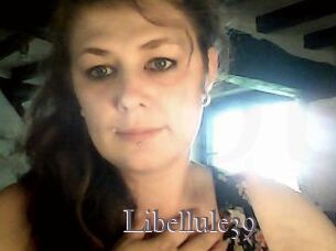 Libellule39