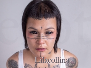 Lilacollina
