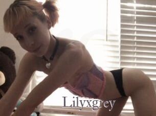 Lilyxgrey