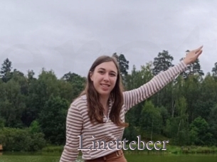 Linettebeer