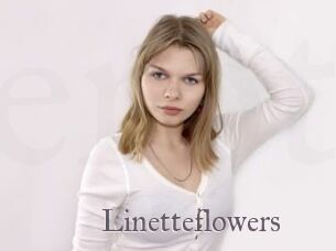 Linetteflowers