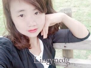 Lingynedg