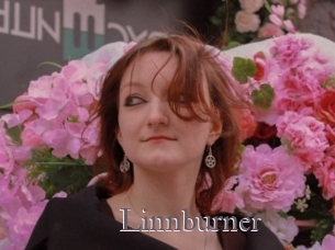 Linnburner