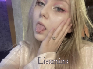 Lisamins