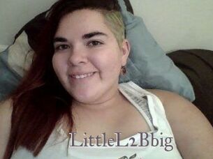 LittleL2Bbig