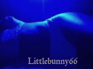 Littlebunny66