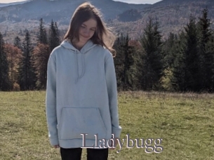 Lladybugg