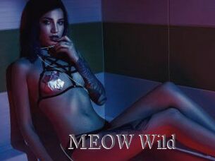 MEOW_Wild