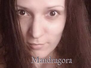Mandragora