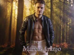MarcusAranjo