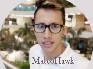 MateoHawk