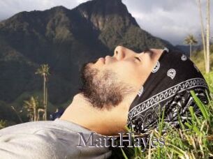 MattHayes