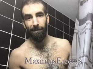 MaximusErectus