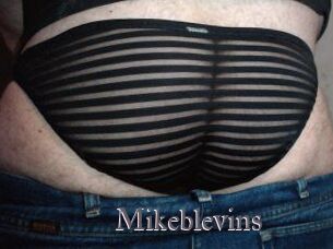 Mikeblevins