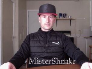 MisterShnake