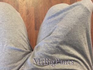 MrBigPants