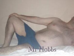 Mr_Hobbs