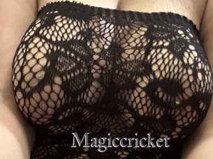 Magiccricket