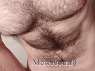 Marcobear18
