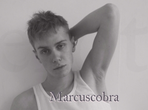 Marcuscobra