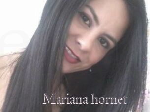 Mariana_hornet