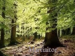 Martiaitor