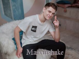 Marvinshake