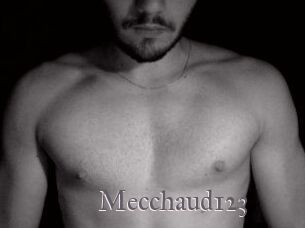 Mecchaud123