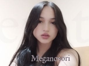 Meganosori
