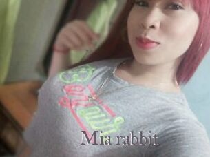 Mia_rabbit