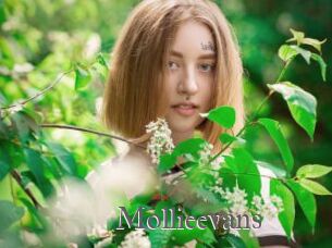 Mollieevans