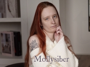 Mollysiber