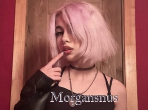 Morgansnus