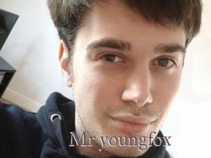 Mr_youngfox