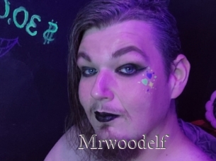 Mrwoodelf