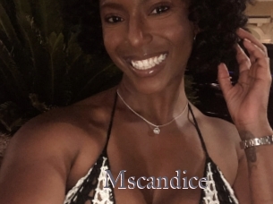 mscandice Erotik Cams