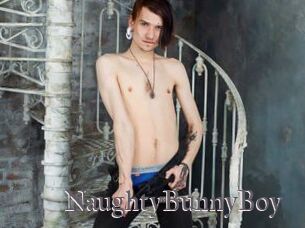 NaughtyBunnyBoy