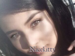 Nicekitty