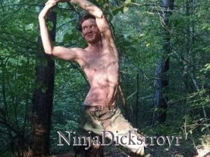 NinjaDickstroyr