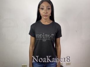 NoaKane18