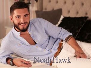 NoahHawk
