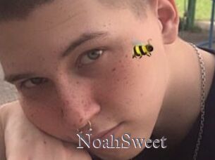 NoahSweet