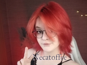 necatoffee Erotik Cams