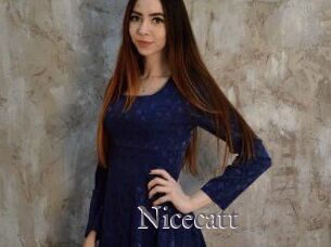 Nicecatt