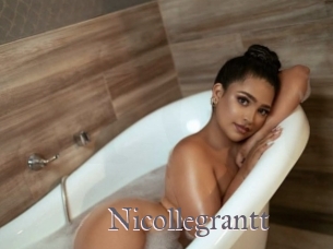 nicollegrantt Erotik Cams