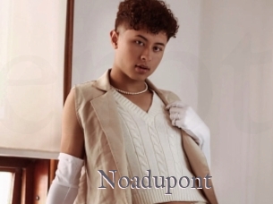 noadupont Erotik Cams