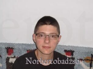 Norbertobadzso